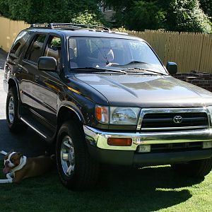 MUSTANG IS NO LONGER A DAILY DRIVER,AND THE DOG DIGS HIS NEW RIDE!
