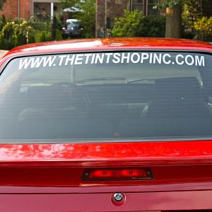 www.thetintshopinc.com