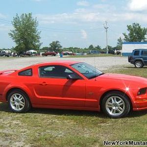 7/26/09 My stang at NYIRP