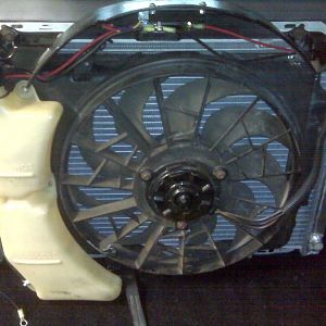 Taurus Elec Fan