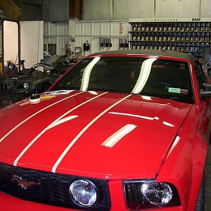 Prep for stripes - front