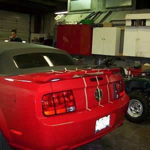 Prep for stripes - rear