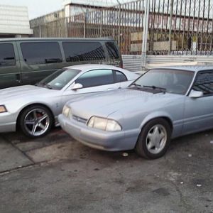 my mustang and dannys mustang