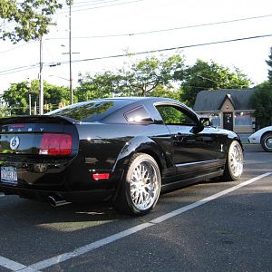 Shelbylowered v 7 1 09 049
