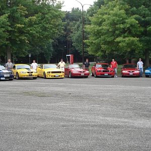 Ponies and Drivers 5