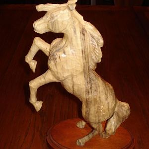 Gift from Kenny- Thank You