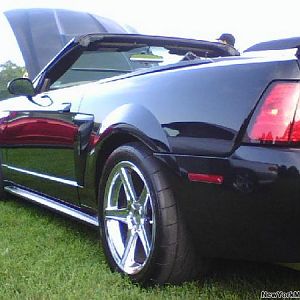 mustang2