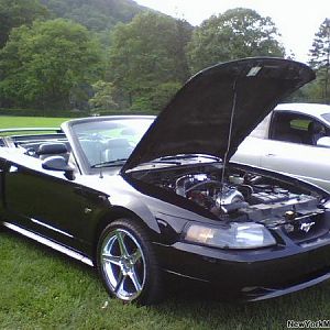 mustang3