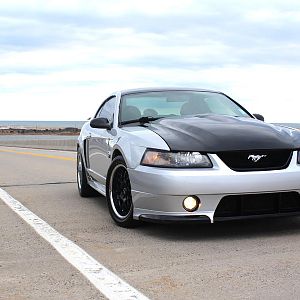 Long island photoshoot anyone?