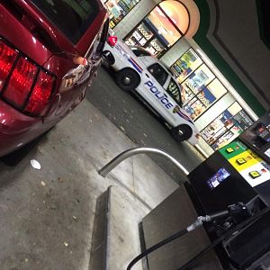 1618352 1569935619904627 5262715141682829823 o

Wasn't me officer