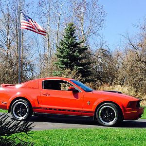 New black bullitts !