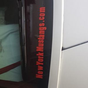 The American Angel is almost ready to leave the stable for some fun.