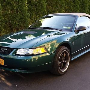 Summer daily driver.