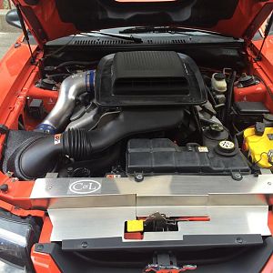 Engine Bay