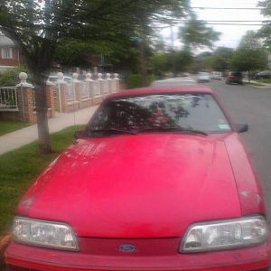 11053167 10206494657023132 5986619548386133568 n