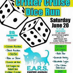 EARS Dice Run Flier
