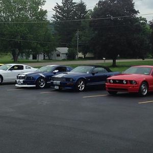 EARS CRITTER CRUISE 6/20/2015