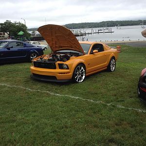 Glenn cove with mustang Steve