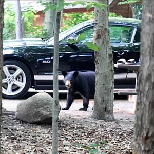 Neat shot from last weekends vacation