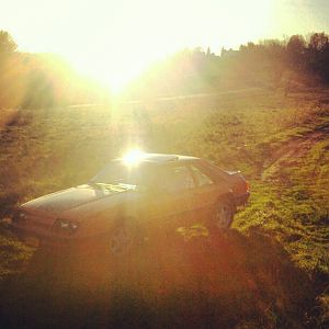 69354 356700521088192 1150534779 n