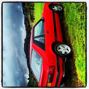 318505 384564088301835 629903314 n