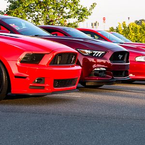 Red Mustang Registry meet and greet