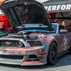 American Muscle 2015