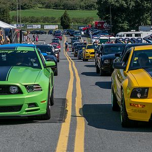 American Muscle 2015