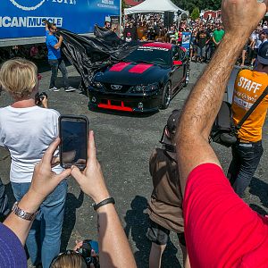 American Muscle 2015