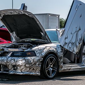 American Muscle 2015