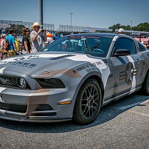 American Muscle 2015