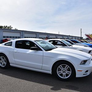 52172 10204685169109207 805013839956136002 o  The Glen 2015