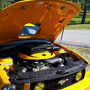 Fiberglass Hood with shaker scoop