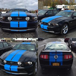 Grabber Blue 10" Racing Stripes