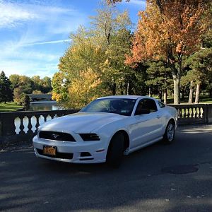 12143155 1506094979714608 8499772292615141183 n