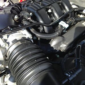 12068526 1507284602928979 4264837168952309951 o