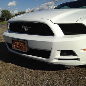 12113533 1507284669595639 5577555090972425411 o