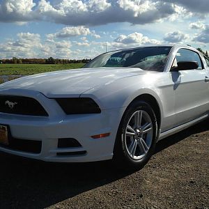 12138515 1507284526262320 8017620701500817401 o