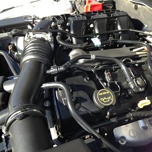 11225196 1507284599595646 5454646554718759388 o