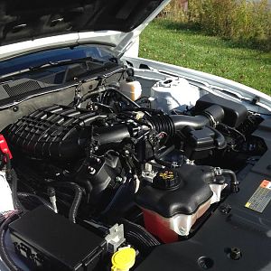 12094925 1507284529595653 2586150598585978454 o