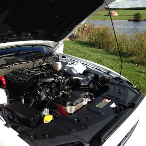 12068820 1507284536262319 3772753186963739429 o