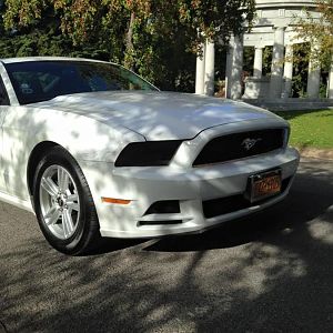 12088050 1506095019714604 8991498438868333596 n