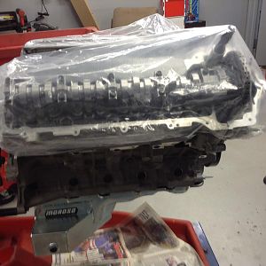 Look at that oil pan,here kitty kitty