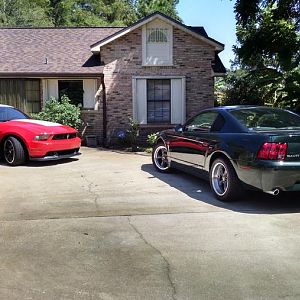 Hanging in the Driveway