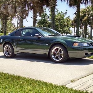 By the Halifax River