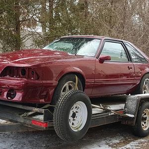 Drivers side on  the trailer