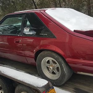 Side shot rear view on trailer
