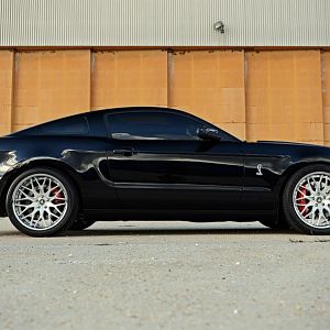 Photo Shoot 9.19.15.jpg6