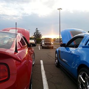 20150919 184410 (Medium)