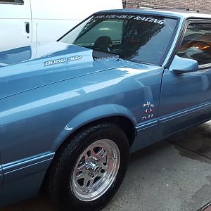 Took her a bath. With CroftgateUSA wash and wax bottle